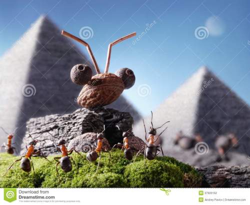 sphinx-de-fourmis-et-pyramiding-ant-tales-37920152