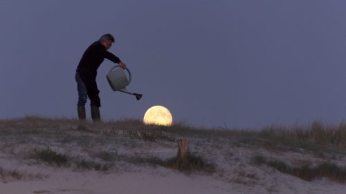 PLANTING THE MOON