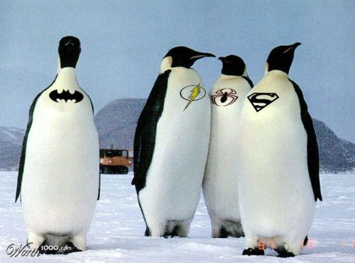 Comics pingouins